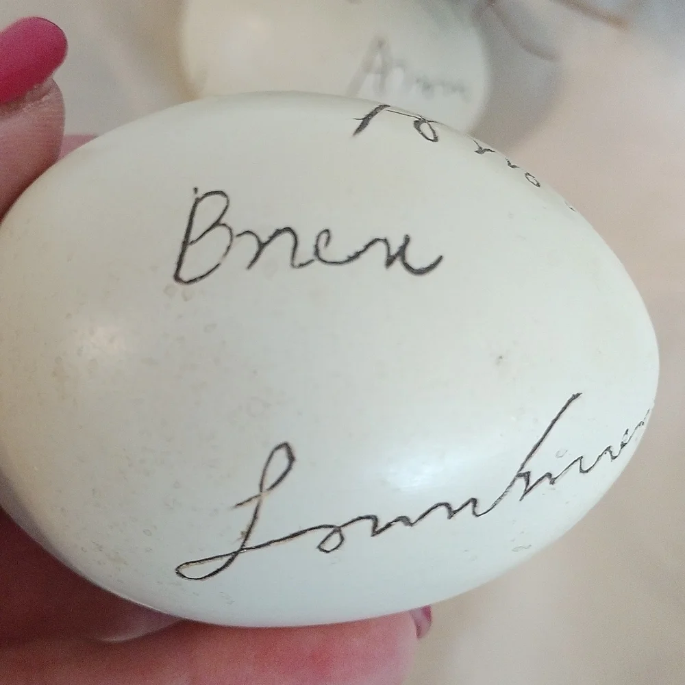 Decorative Bird Nest with 3 Painted Eggs